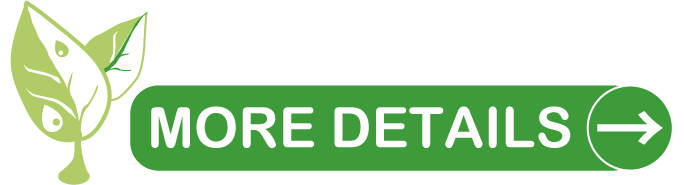 more details to sustainability